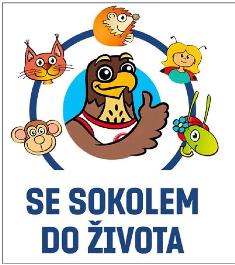 Vizualizace projektu